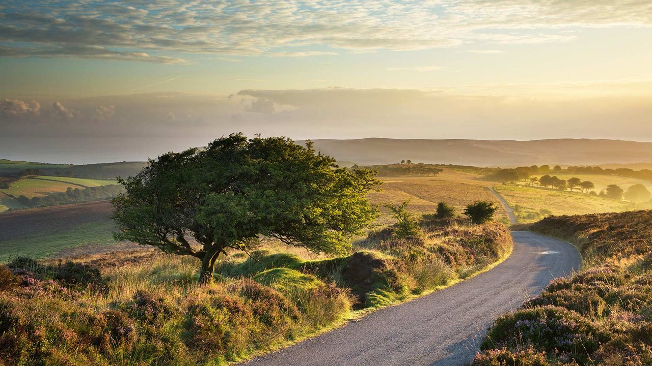 Los páramos de Dunkery Hill, en el Parque Nacional de Exmoor, Inglaterra