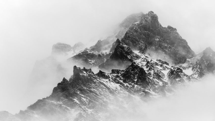 Arctic Camo Special Edition for Windows Themes Available Now