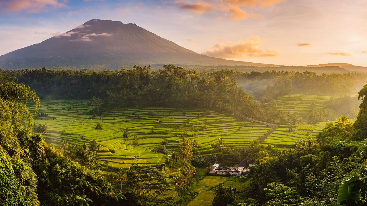 Rice fields in the Sidemen Valley, with Mount Agung in the background, Bali, Indonesia