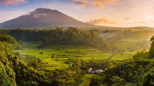 Rice fields in the Sidemen Valley, with Mount Agung in the background, Bali, Indonesia