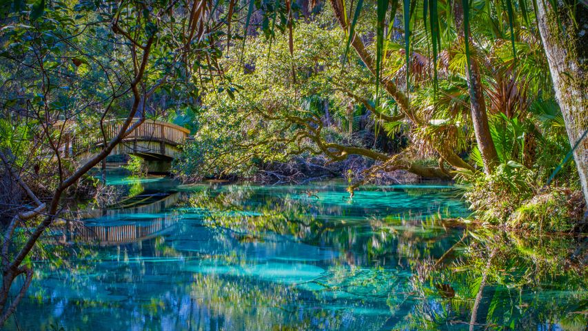 Juniper Springs in Ocala National Forest, Florida