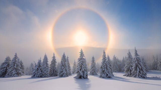Halo um die Sonne, Erzgebirge, Sachsen, Deutschland