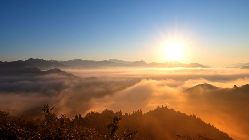 Lighting the mists