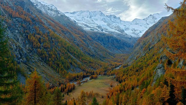 Paesaggio autunnale, Parco Nazionale del Gran Paradiso, Italia