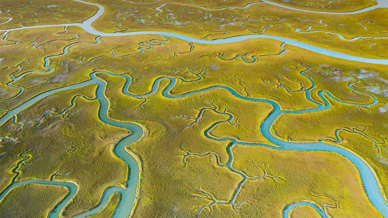Mockhorn Island State Wildlife Management Area, Virginia, USA
