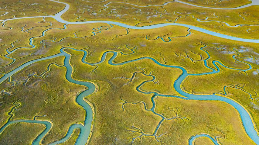 鸟瞰Mockhorn岛野生动植物管理区沼泽地内的潮汐通道，弗吉尼亚