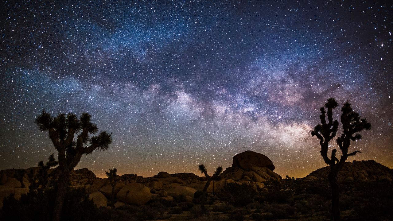 Vía Láctea sobre el Parque Nacional de Árboles de Josué, California, EE.UU.