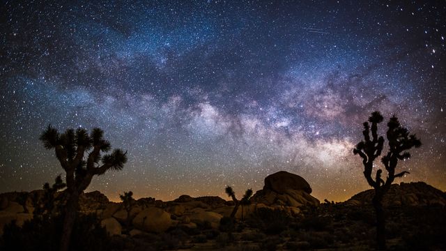Vía Láctea sobre el Parque Nacional de Árboles de Josué, California, EE.UU.