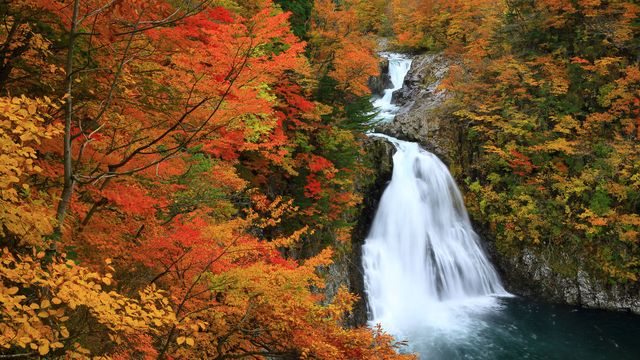 紅葉に包まれた法体の滝, 秋田県 由利本荘市