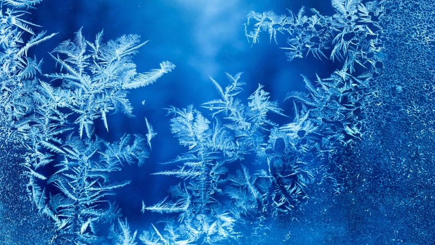 Ice Crystals PREMIUM 4K Theme for Windows 10