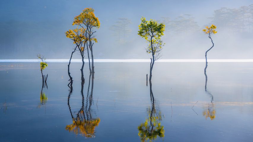 Highland haze