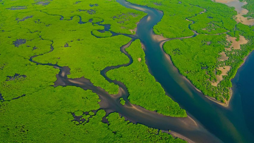 Veduta aerea del Rio delle Amazzoni in Brasile