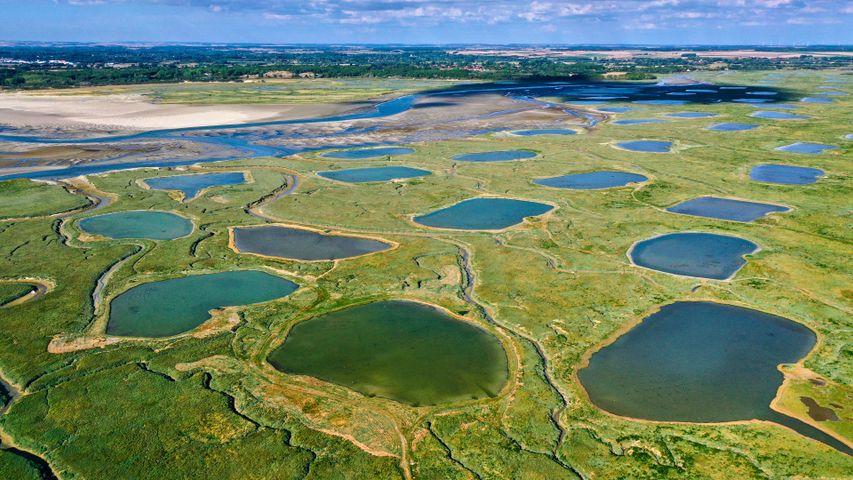 Vue aérienne de la Baie d'Authie, Somme, Haut-de-France