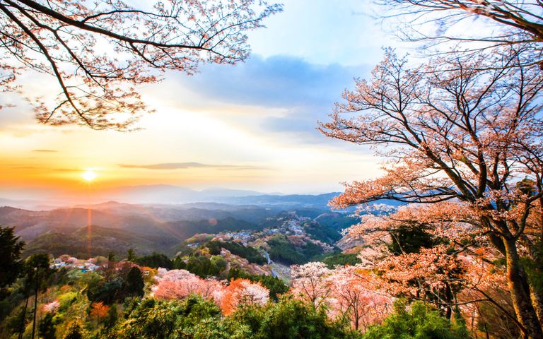 Japanese Landscapes Windows 10 Theme