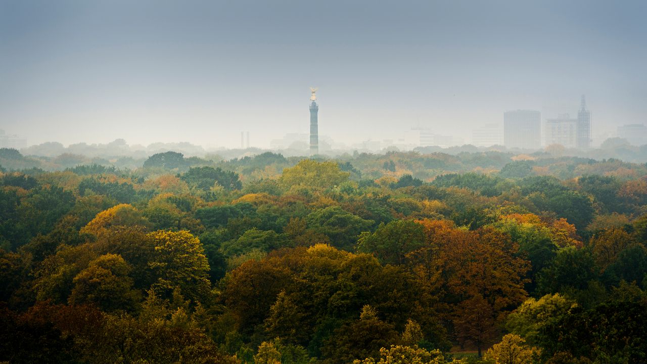 Herbstliche Farben in Berlin