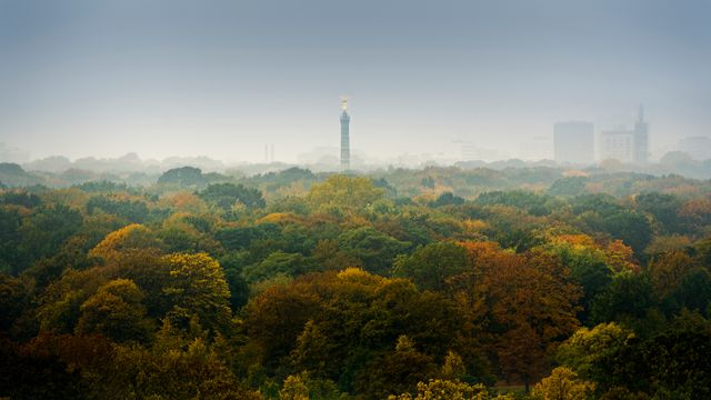 Herbstliche Farben in Berlin