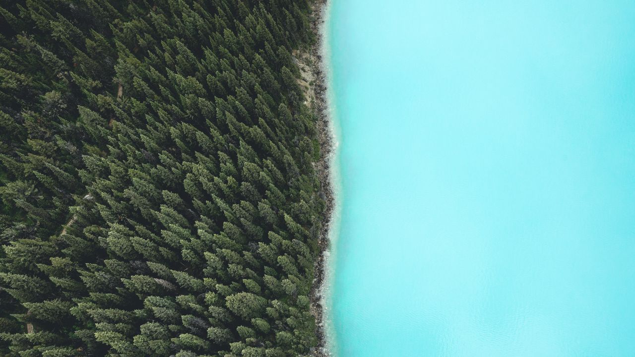 BC from a bird's eye