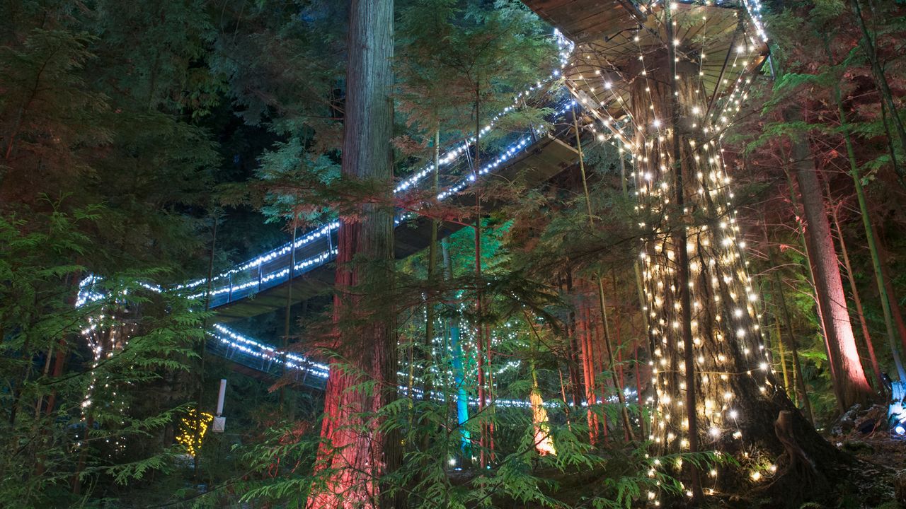 Illuminated Capilano Suspension Bridge Park, Vancouver, British Columbia