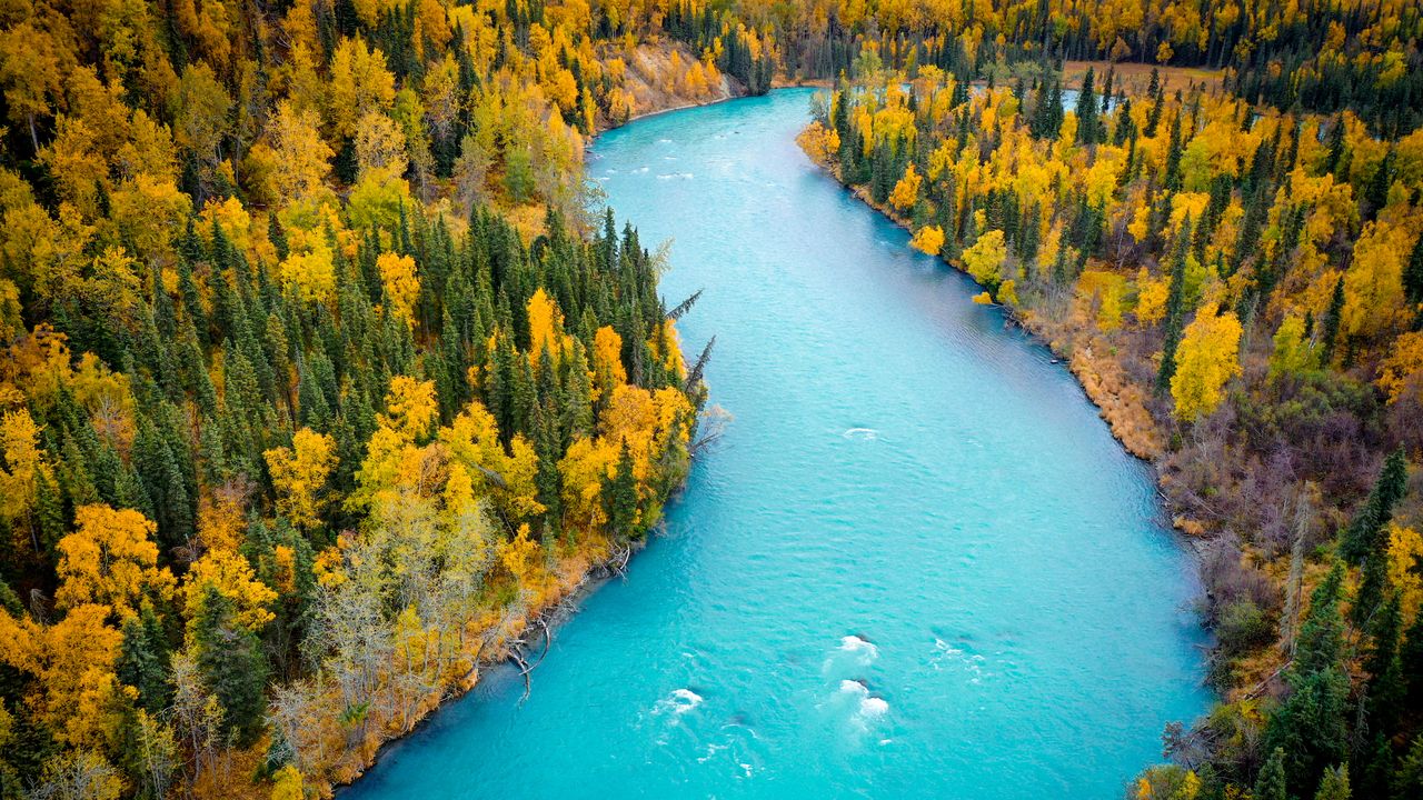 The blue, glacier-fed waters of the Kasilof River, Alaska, United States