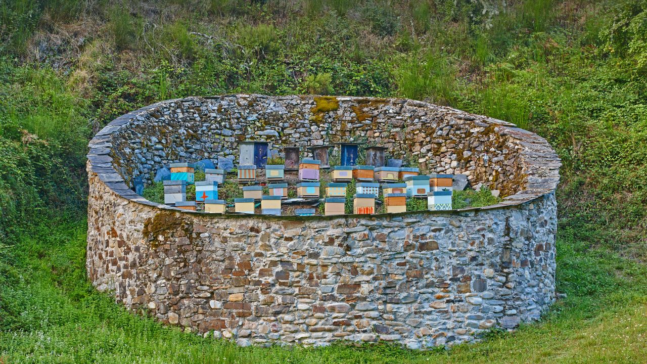 Colmenas en el Parque Natural de Muniellos en la provincia de Asturias,Spain
