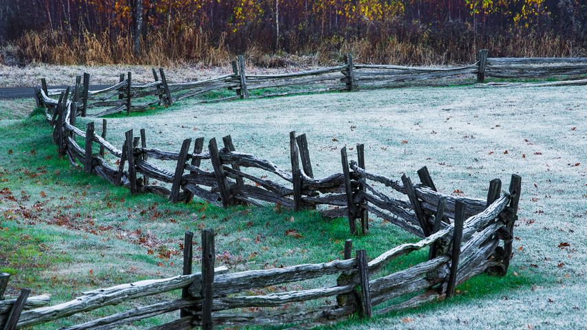 A frost covered grass field with trees in autumn colours; Iron Hill, Quebec