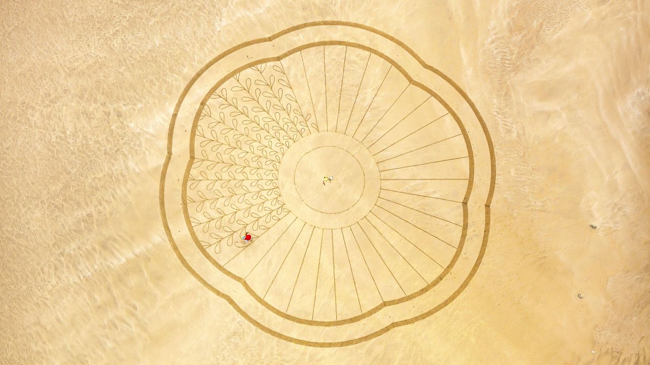 ビーチに描かれた巨大な絵, フランス