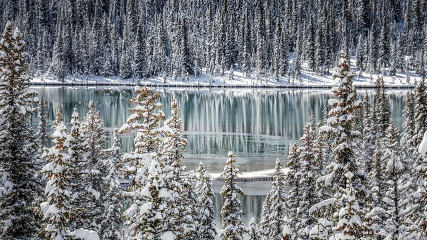 A frozen lake in Banff National Park