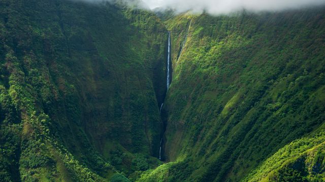 Oloʻupena‑Wasserfälle an der Nordküste der Insel Molokaʻi, Hawaii, USA