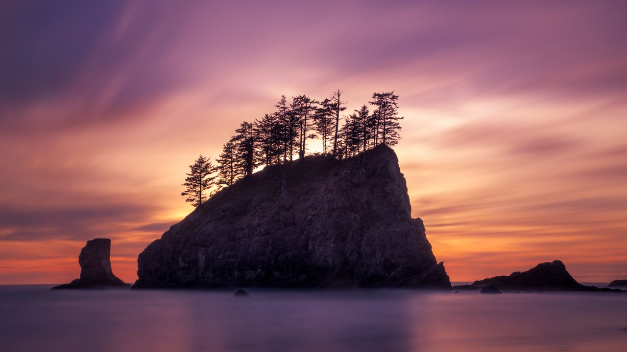 Tree-topped sea stack, Second Beach