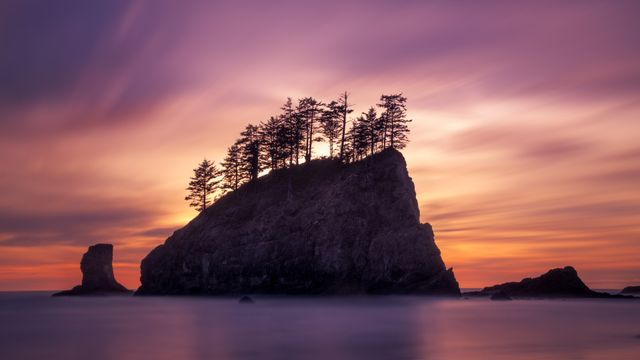 Tree-topped sea stack, Second Beach