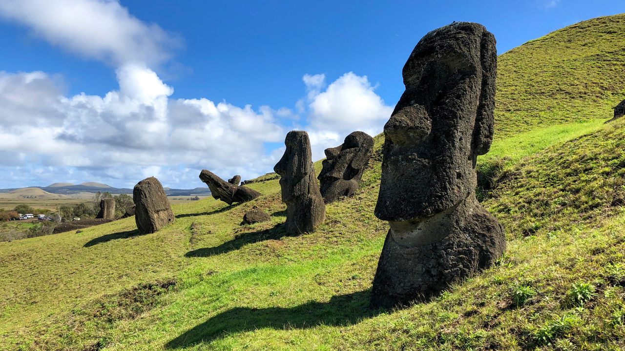 FUN FACTS ABOUT THE HUMAN FACE visual data 8