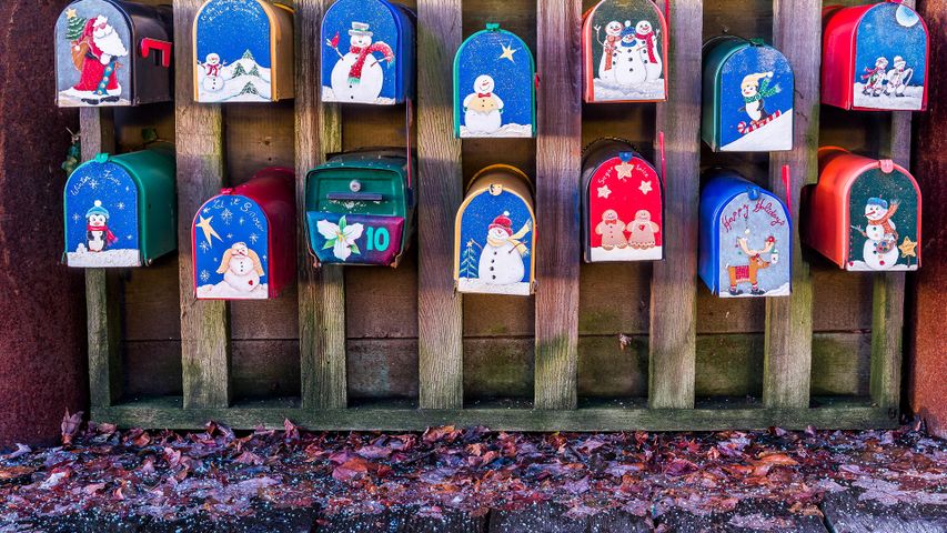 Winter themed hand painted mail boxes for 'Sea Village' floating home residents, Granville Island, Vancouver