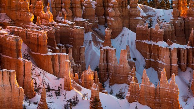 Bryce Canyon National Park, Utah