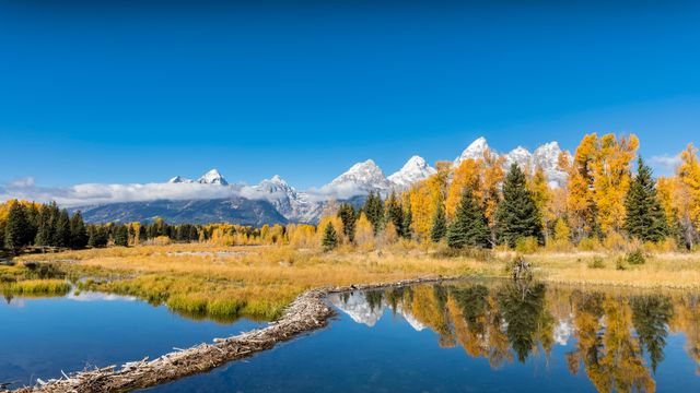 Grand-Teton-Nationalpark, Wyoming, USA
