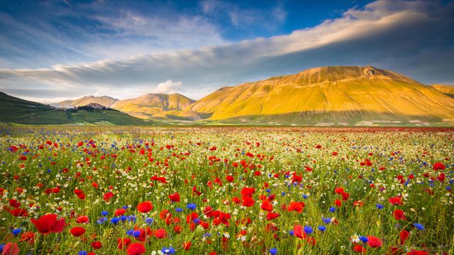 Castelluccio, Umbria, Italy