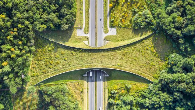Vue aérienne d’un écoduc près de Zakrzów, Pologne