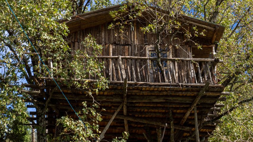 Treehouses PREMIUM 4K Theme for Windows 10