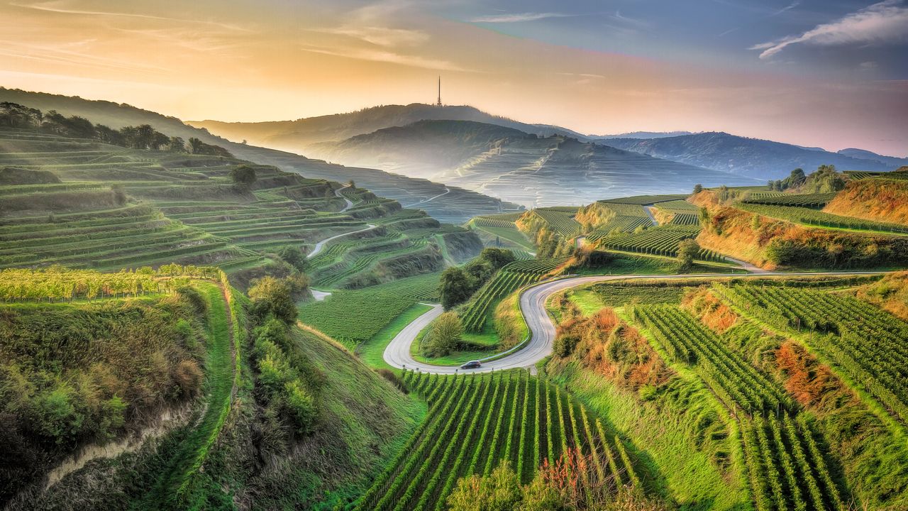Ansicht eines landwirtschaftlichen Feldes, Kaiserstuhl, Baden-Württemberg