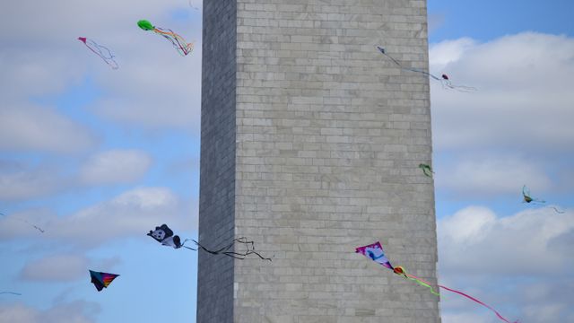 ブロッサム・カイト・フェスティバル, 米国 ワシントンDC