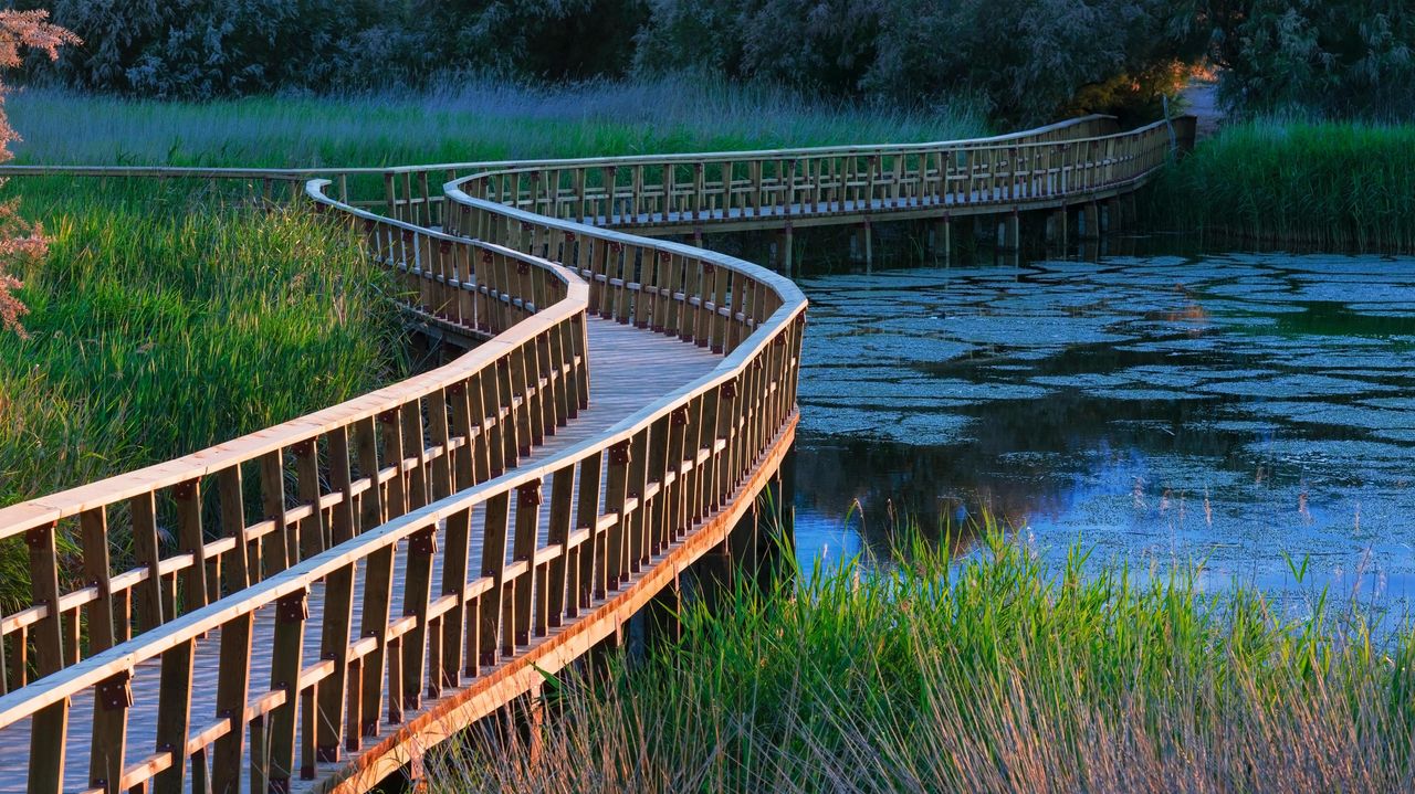 Parque Nacional de Tablas de Daimiel, Castilla-La Mancha, España