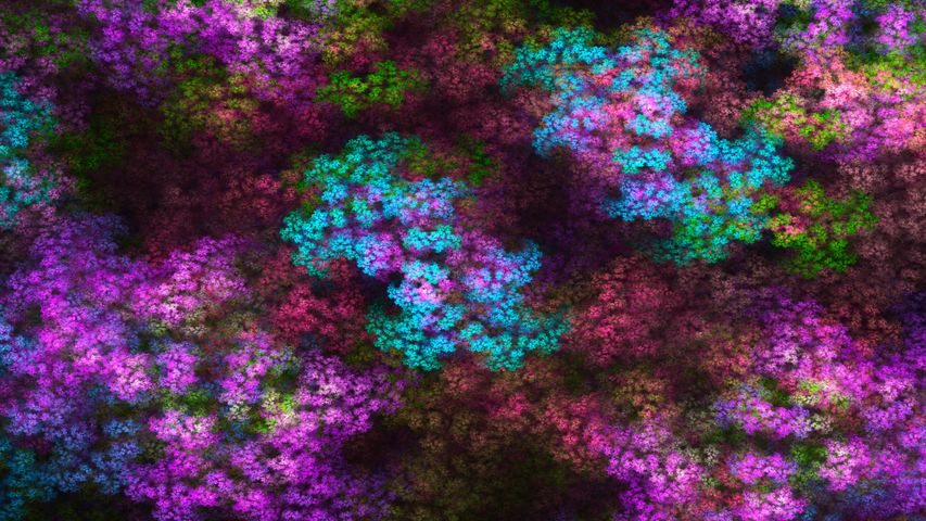 Fractal Art PREMIUM 4K Theme for Windows 10