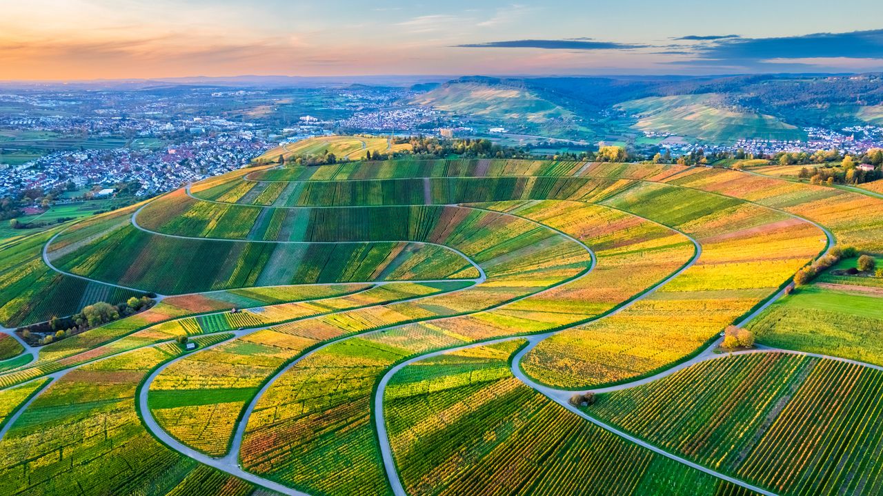 Drohnenansicht der Weinberge im Remstal, Baden-Württemberg