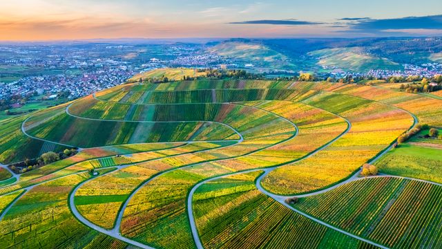 Drohnenansicht der Weinberge im Remstal, Baden-Württemberg