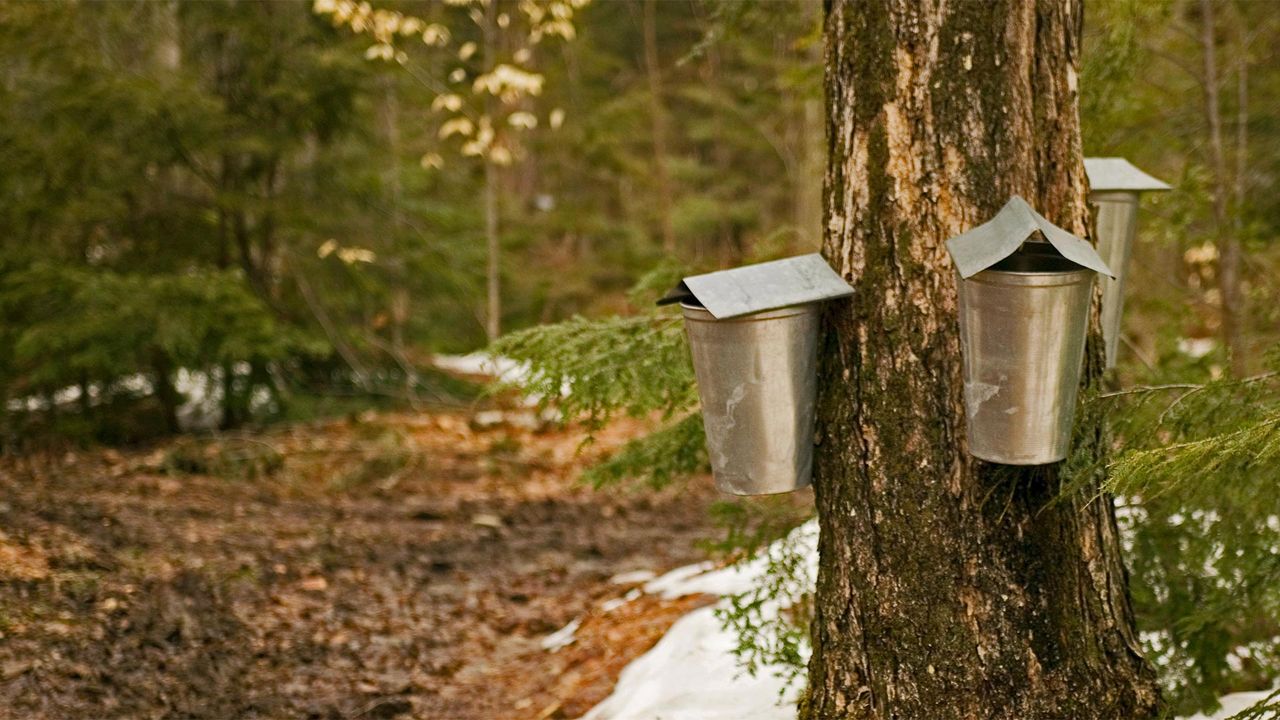 Saft-Auffangbehälter in Brome-Missisquoi, Québec, Kanada