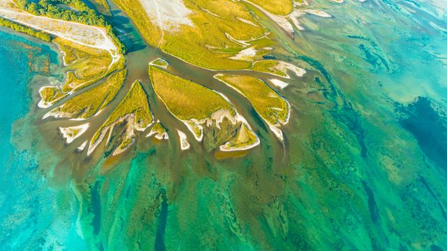 River meets reservoir