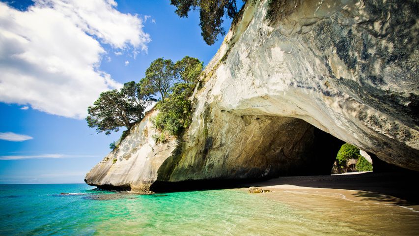 A cove on Coromandel