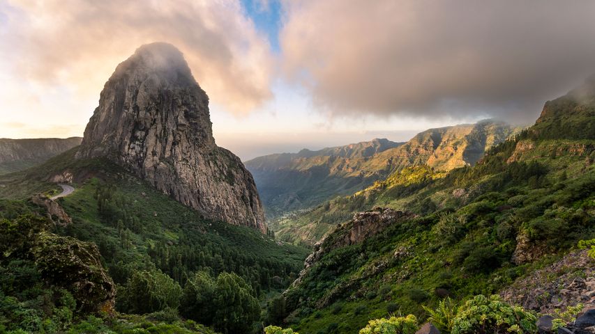 A view worth a whistle