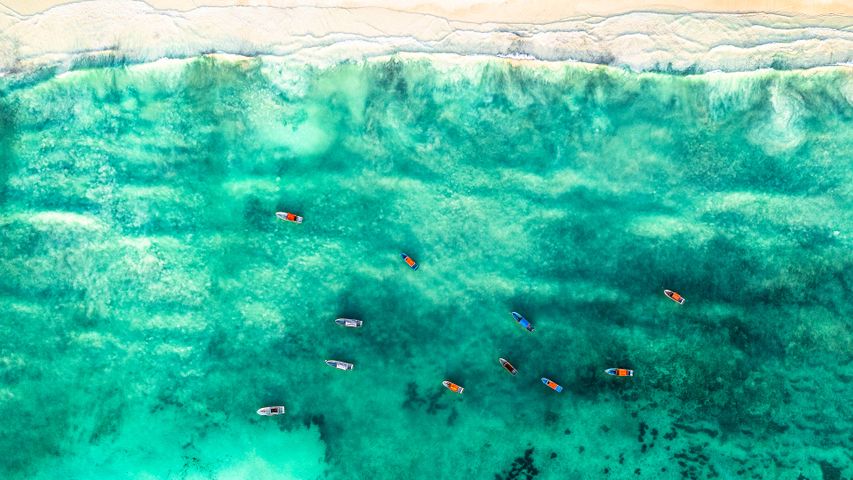Sailing the Spice Islands