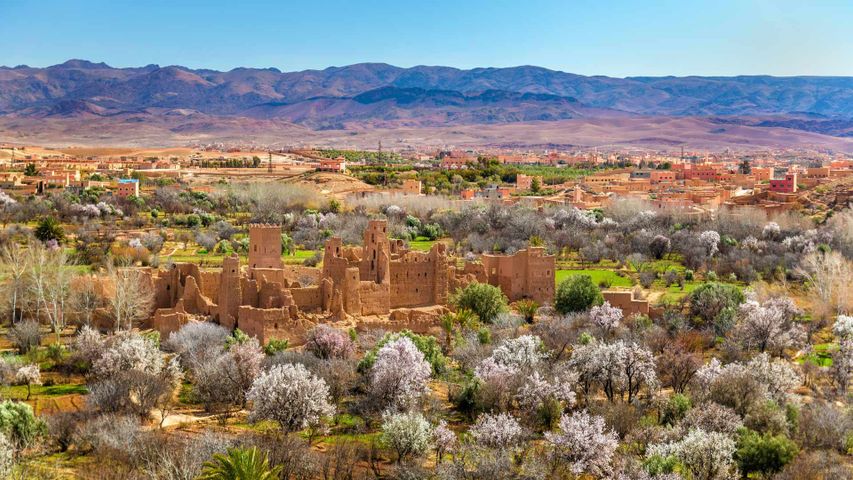 Ruinen einer Kasbah in El-Kelâa M’Gouna, Marokko