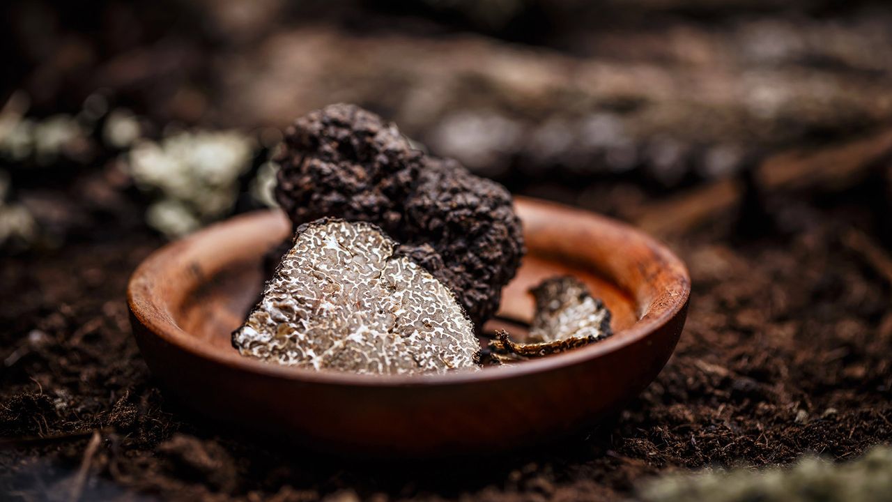 Trufas negras cortadas sobre un plato de madera